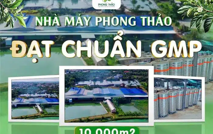 Nha may san xuat dat chuan GMP 10.000m2 noni4x.com