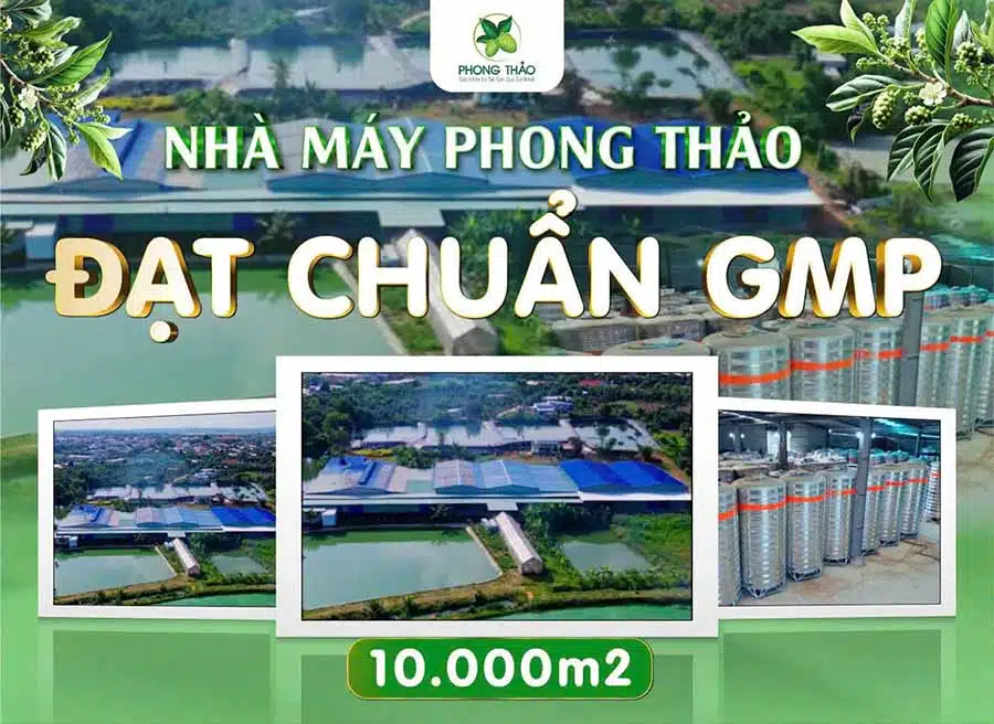 Nha may san xuat dat chuan GMP 10.000m2